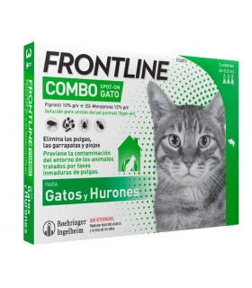 Frontline Combo cats