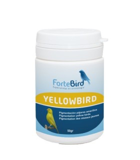 Yellowbird Fortebird