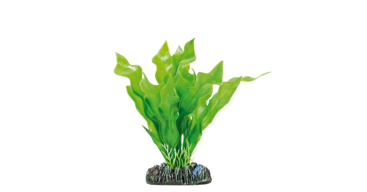 Aponogeton crispus Plastic Plant AQUATIC PLANTS (13.50cm) ICA