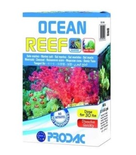 Ocean Reef Sal Marina...