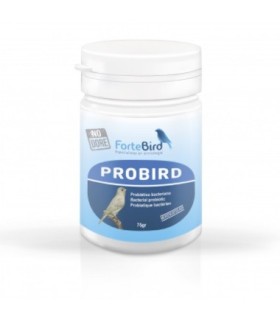 Probird Fortebird