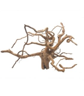 Natural roots
