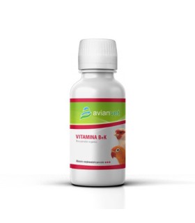 Vitamina B+K Avianvet