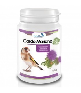 Cardo Mariano Natur Fortebird