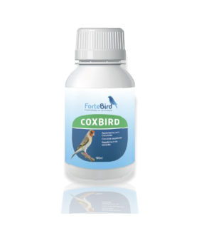 Coxbird Fortebird