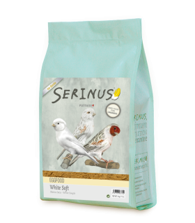 White soft  Serinus