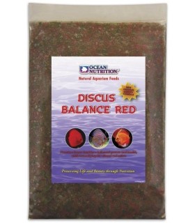 Discus Balance RED Plancha...