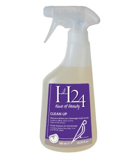 Clean Up H24