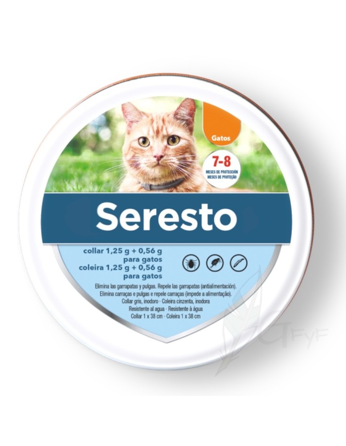 Chat Seresto Elanco