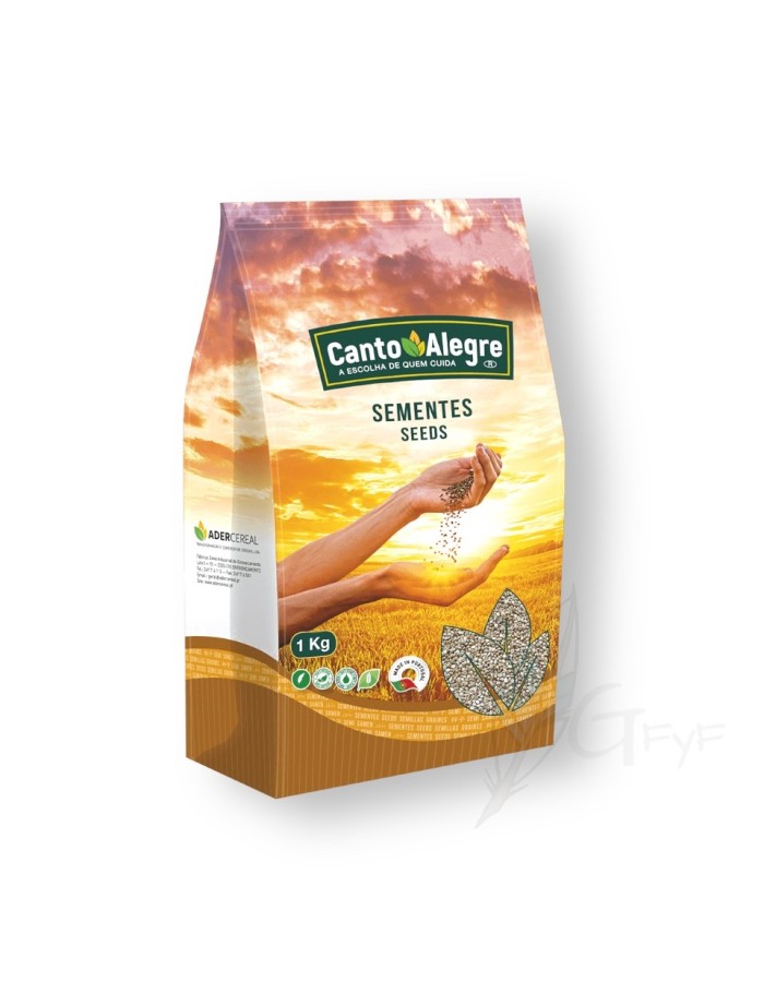 Japanese Millet Canto Alegre