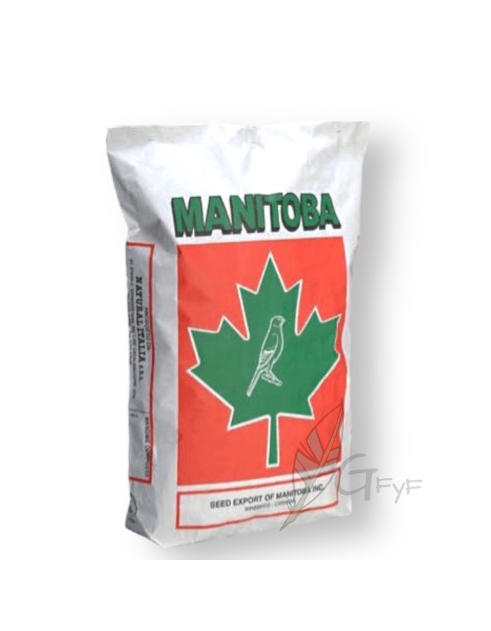 Mistura T3 Platinum Manitoba (com Branco Maçaneta)