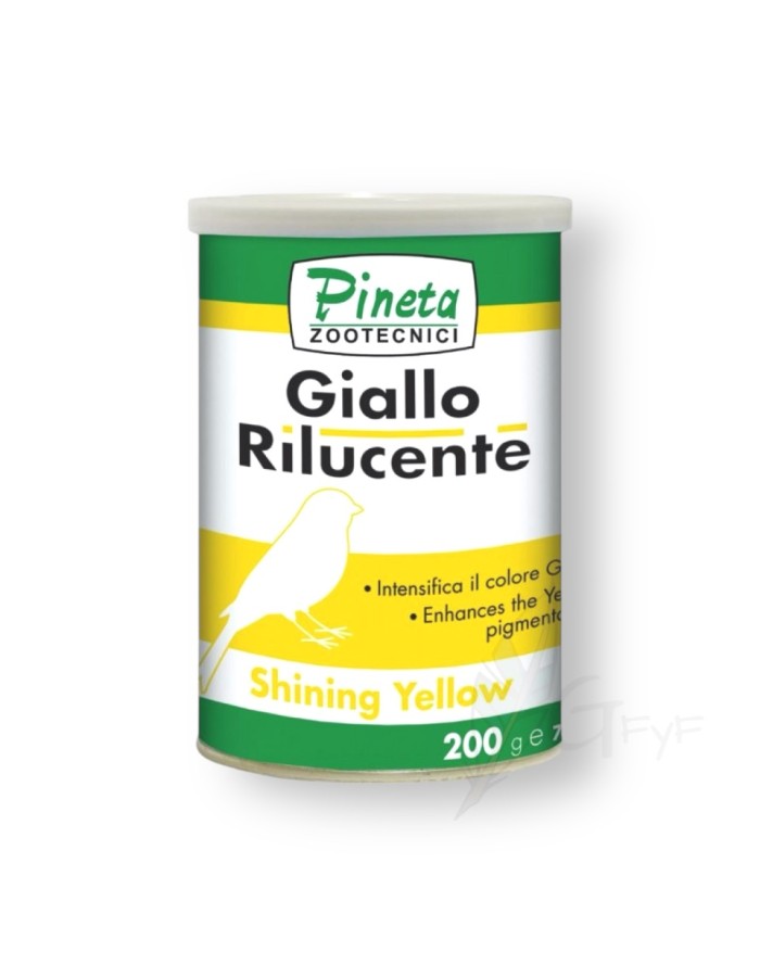 Giallo brillante Pineta