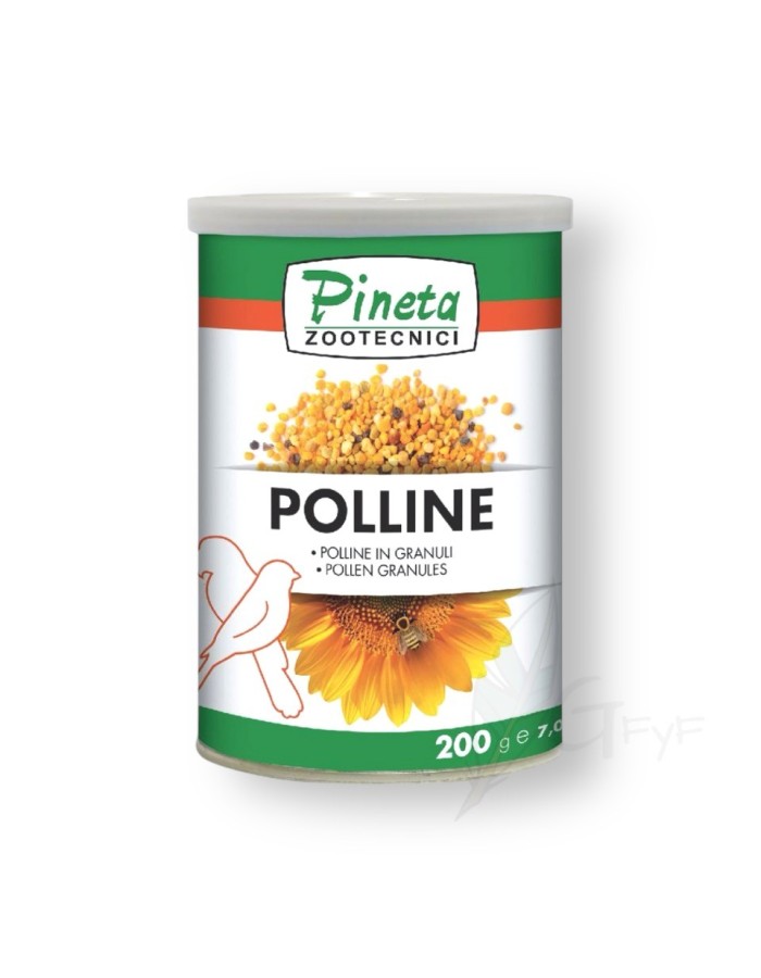 Bee Pollen Pineta