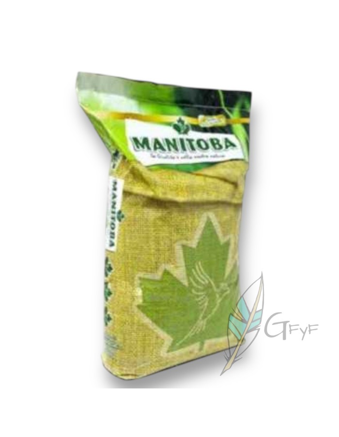 Mixture Germination Speed 24 Manitoba 15kg