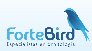 Fortebird